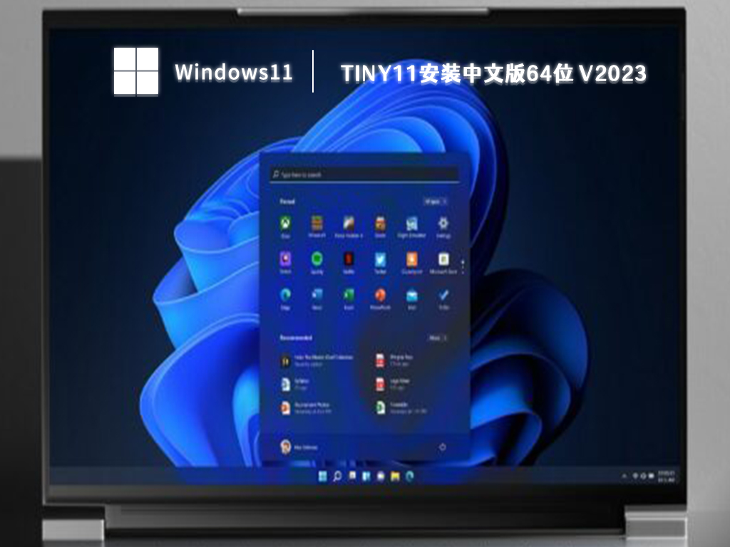 Win11精简版Tiny11下载_Tiny11下载中文版64位-系统助手